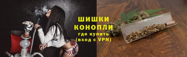 крисы Аркадак