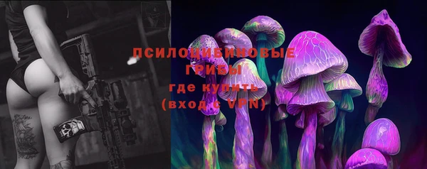 крисы Аркадак