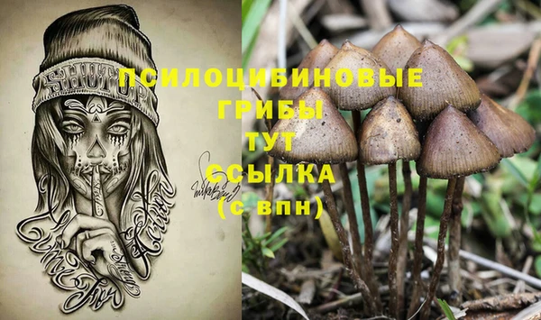 крисы Аркадак