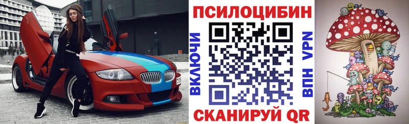 магазин продажи наркотиков  Михайловск  Псилоцибиновые грибы мухоморы 