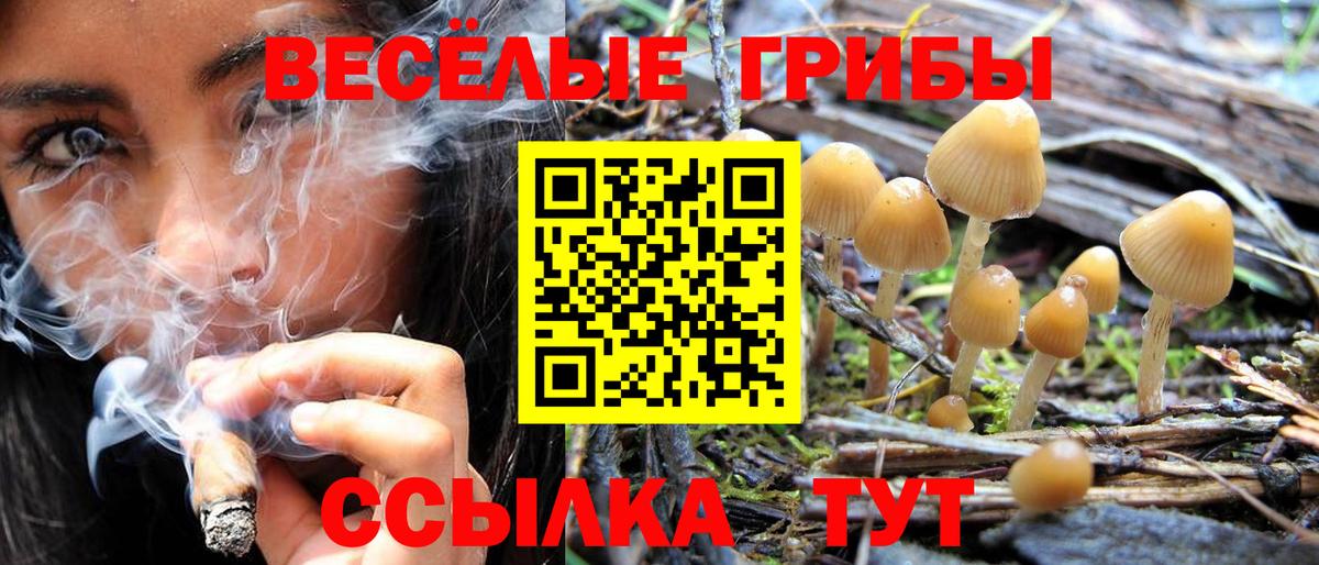 Галлюциногенные грибы ЛСД  Вход с VPN  Галлюциногенные грибы мицелий  Михайловск 
