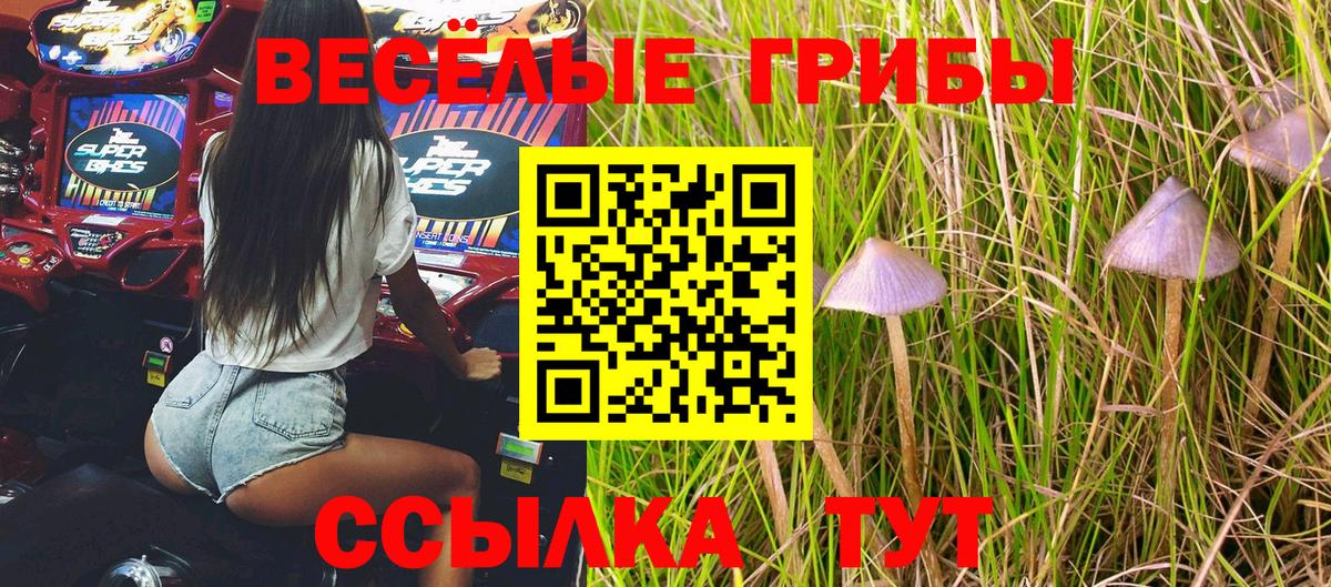 Галлюциногенные грибы мицелий Михайловск